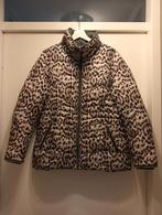 Winterjas van Pescara mt. L, Kleding | Dames, Jassen | Winter, Ophalen of Verzenden, Gedragen, Zwart