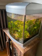 Auquarium Aqua-40 met veel toebehoren, Dieren en Toebehoren, Ophalen of Verzenden, Gebruikt