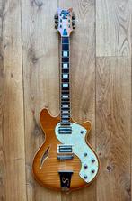 Schecter Semi-Hollow Electric Guitar, Ophalen, Zo goed als nieuw, Hollow body, Overige merken