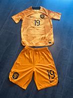 Voetbal pakje weghorst wc2022, Ophalen of Verzenden, Nieuw, Shirt