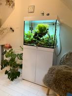 Prachtige complete Juwel lido 200L aquarium, Dieren en Toebehoren, Vissen | Aquaria en Toebehoren, Ophalen, Zo goed als nieuw