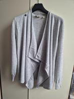 Wollen dames vest / trui van Ted Baker, lichtgrijs, Maat 38/40 (M), Ophalen of Verzenden, Gedragen, Ted Baker