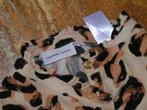 FABIENNE CHAPOT blouse,Mt 40 als nieuw, Maat 38/40 (M), Tweedehands, Verzenden, Tweedehands