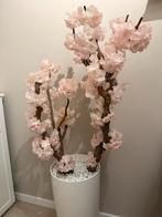 Bloesemboom, Ophalen, Gebruikt, Binnen