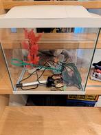 Superfish glazen aquarium met toebehoren, Dieren en Toebehoren, Vissen | Aquaria en Toebehoren, Ophalen of Verzenden, Zo goed als nieuw