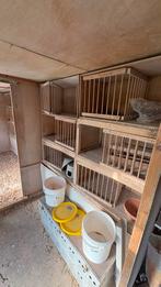 Te koop duivenbroedhokken, Dieren en Toebehoren, Vogels | Duiven, Geslacht onbekend, Postduif