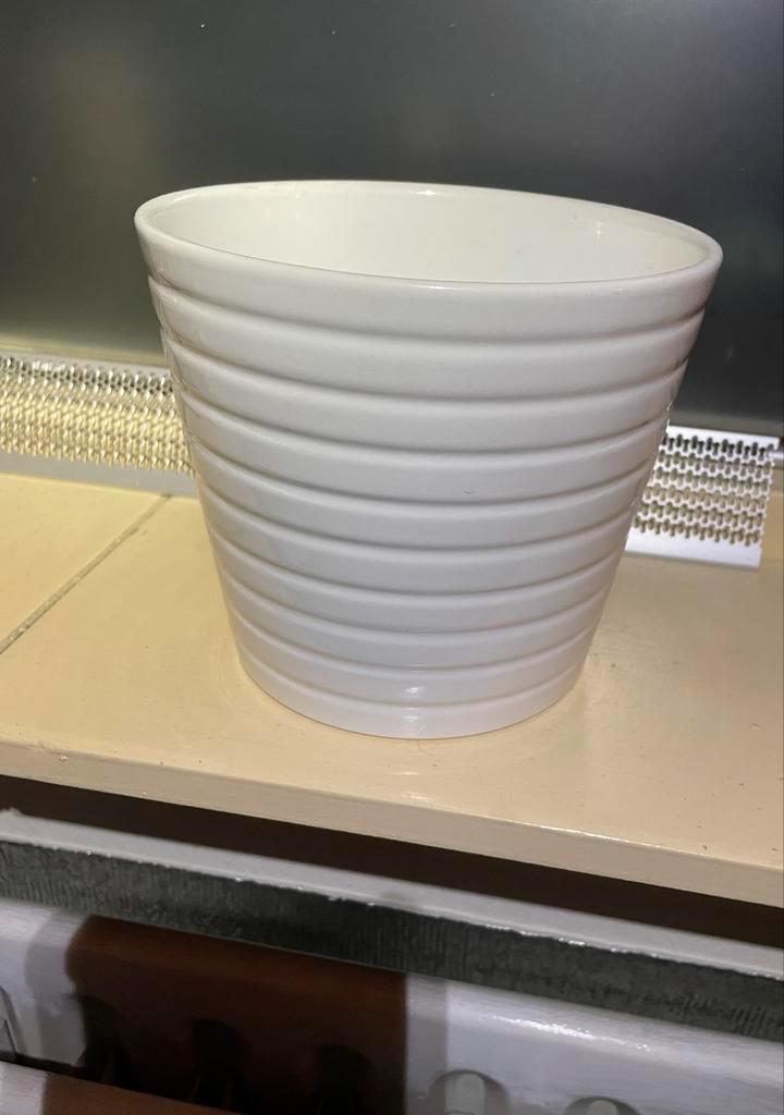 Z.G.A.N. Witte Bloempot - Keramiek, Huis en Inrichting, Kamerplanten, Minder dan 100 cm, Halfschaduw, Ophalen of Verzenden