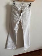 Replay Bootcut Jeans W28 L34 - Nieuw!, Ophalen, Nieuw, Wit, W28 - W29 (confectie 36)