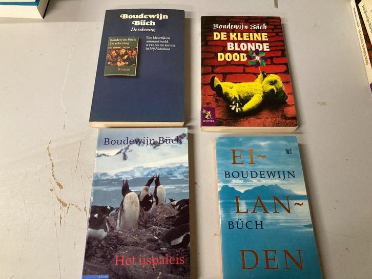 T.K. nog 6 boeken van Boudewijn Buch Zie actuele lijst, Boeken, Literatuur, Gelezen, Nederland, Ophalen of Verzenden