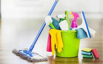 Schoonmaakster bied zich aan! beschikbaar voor biedingen