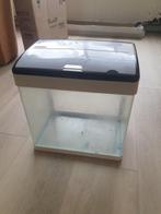 Tk terrarium 35x25x37, Ophalen