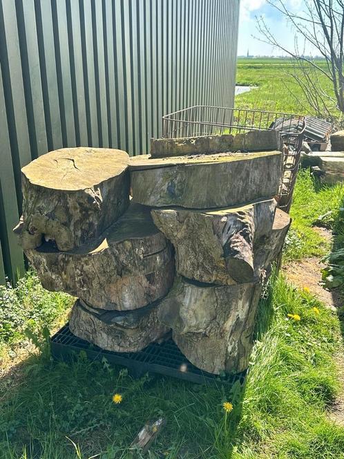Diverse boomstam schijven, Tuin en Terras, Overige Tuin en Terras, Zo goed als nieuw, Ophalen