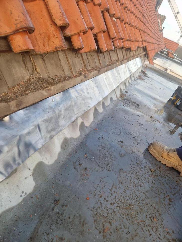 Loodgieter omgeving Zuid-Holland, Diensten en Vakmensen, Loodgieters en Installateurs, Installatie, Onderhoud, Reparatie, Garantie