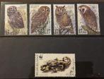 België postzegels dieren uilen salamander 1999-2000, Ophalen of Verzenden, Gestempeld