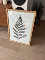 Houten lijst (berken?) met print (te vervangen), Ophalen, Minder dan 50 cm, 50 tot 75 cm, Zo goed als nieuw