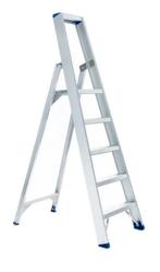Eurostairs Bordestrap 5 treden - Nieuw in verpakking, Doe-het-zelf en Verbouw, Ladders en Trappen, Ophalen, Nieuw, Trap, Minder dan 2 meter