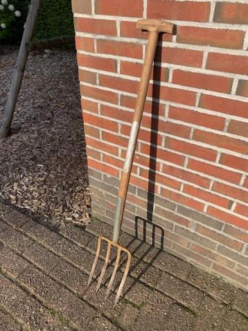 riek beschikbaar voor biedingen