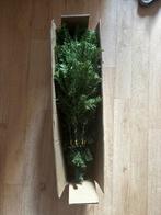 Kerstboom 1,2M, Diversen, Ophalen, Zo goed als nieuw