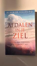 Alberto Villoldo - Afdalen in je ziel, Overige typen, Ophalen of Verzenden, Zo goed als nieuw, Alberto Villoldo