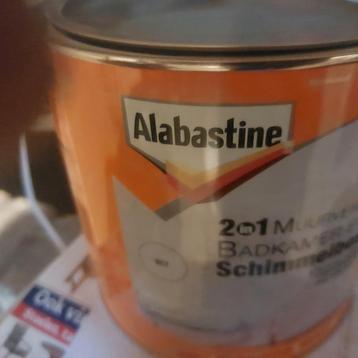 Splinternieuwe Alabastine 2in1 Muurverf Badkmr&Keukn schimm