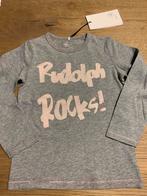 NIEUWE grijze longsleeve meisje Name It mt 98, Kinderen en Baby's, Kinderkleding | Maat 98, Nieuw, Meisje, Name It, Ophalen of Verzenden