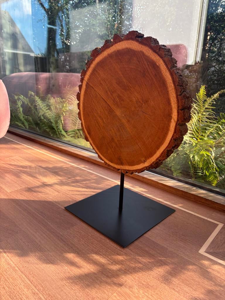 Boomstam Schijf op Zwarte Metalen Voet - Woondecoratie, Ophalen, Zo goed als nieuw