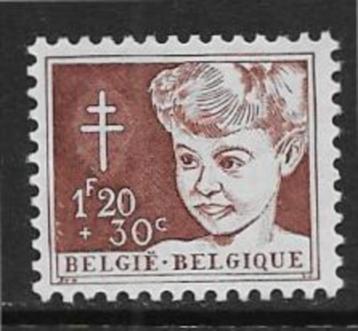 België 1954    TBC   1006   (Pfr) beschikbaar voor biedingen