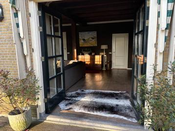 Nguni koeienhuid beschikbaar voor biedingen