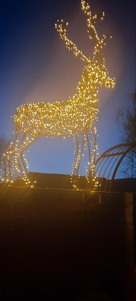 Decoratieve rendier verlichting, Diversen, Kerst, Nieuw, Ophalen