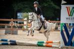 Bomproof Bixie/ springpony, Dieren en Toebehoren, Pony's, Merrie, Gechipt, Springpony, 3 tot 6 jaar