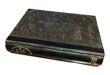 Unholy bible ( kunsthars, geen boek ) beschikbaar voor biedingen