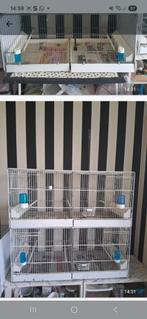 Te koop mooi groot vogels kooi, Dieren en Toebehoren, Vogels | Duiven, Meerdere dieren