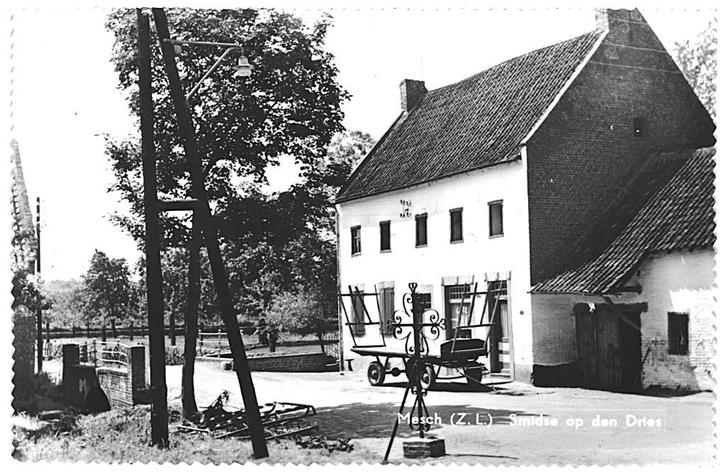 978068 Mesch 1972 Limburg Smitse op den Dies . Nette oude, Verzamelen, Ansichtkaarten | Nederland, Ongelopen, Limburg, 1960 tot 1980