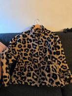 New Yoker Winter Jacket, Kleding | Dames, Ophalen of Verzenden, Zo goed als nieuw, Maat 46/48 (XL) of groter, Zwart