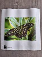 Diamond painting gemaakte vlinder 30cm x 30cm, Ophalen of Verzenden, Nieuw, Knutselwerk