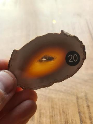 Agaat #20 beschikbaar voor biedingen