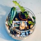 Homemade terrarium, Huis en Inrichting, Kamerplanten, Ophalen, Minder dan 100 cm