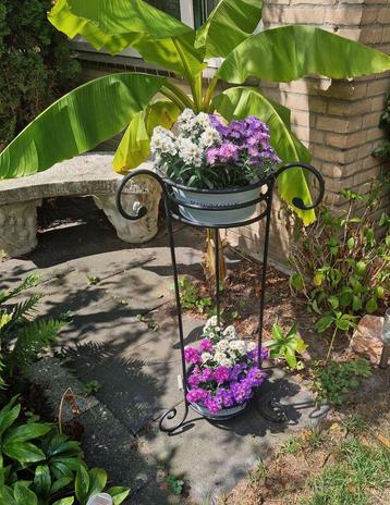 Ronde plantenstandaard, plantenbak gietijzeren + planten  beschikbaar voor biedingen