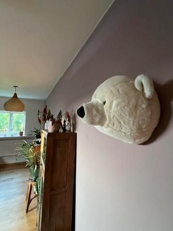 ‍️ prachtige stevige ijsbeer kop ter decoratie (Bibib) beschikbaar voor biedingen