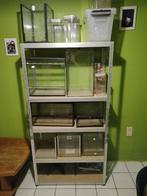 terraium, Ophalen, Zo goed als nieuw, Terrarium of Paludarium