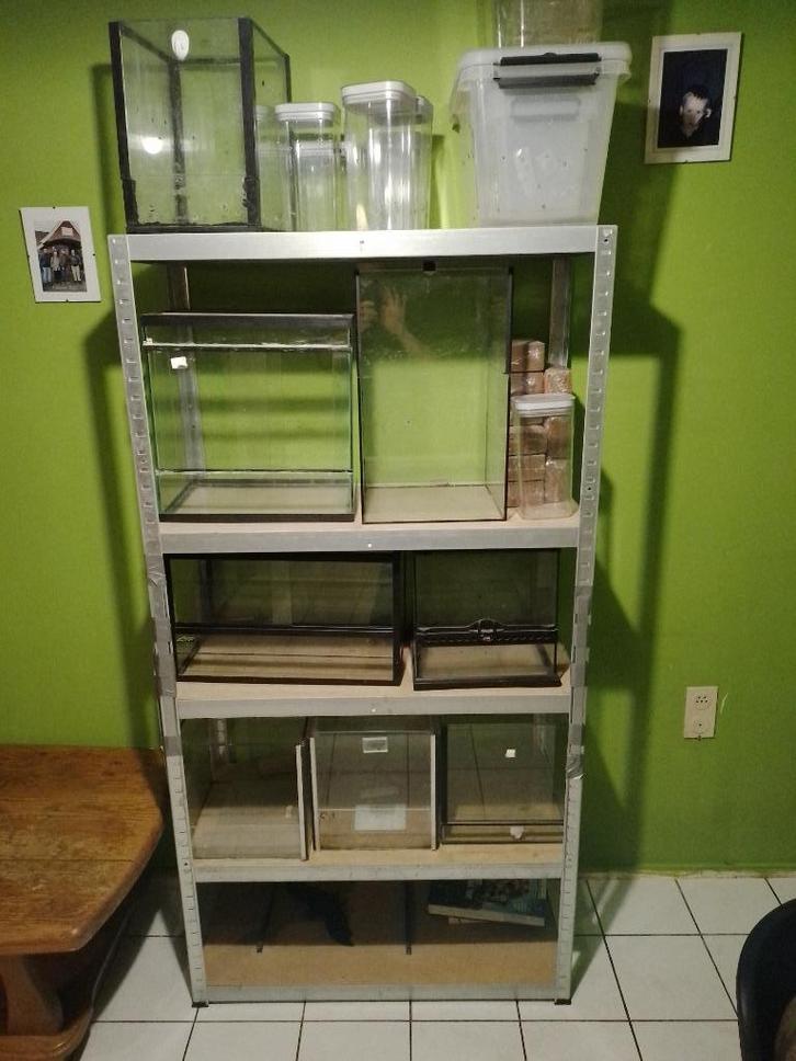 terraium, Dieren en Toebehoren, Reptielen en Amfibieën | Toebehoren, Zo goed als nieuw, Terrarium of Paludarium, Ophalen