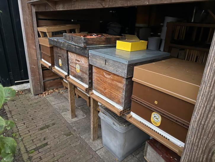 Bijenkasten Dadant Blatt, Dieren en Toebehoren, Insecten en Spinnen, Bijen