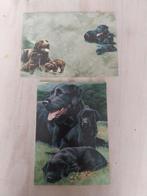 Mooie ansicht kaart met envelop moeder met 2 pups NIEUW, Ophalen of Verzenden, 1980 tot heden, Ongelopen, Hond of Kat