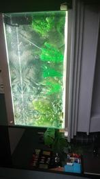 Aquarium, Ophalen of Verzenden, Zo goed als nieuw