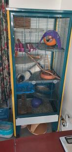 Vogel/ratten kooi op wielen excl inhoudt, Kooi, Gebruikt, 75 tot 110 cm, Ophalen