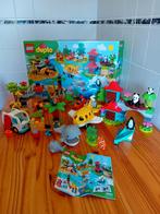 Duplo 10907 Dieren van de wereld, Ophalen of Verzenden, Zo goed als nieuw, Complete set, Duplo