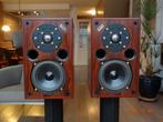 Acoustic Energy AE1 luidsprekers (de oerversie!), Zo goed als nieuw, 60 tot 120 watt, Front, Rear of Stereo speakers, Ophalen