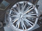 Wieldop 14 inch x2, Auto diversen, Wieldoppen, Ophalen of Verzenden, Nieuw