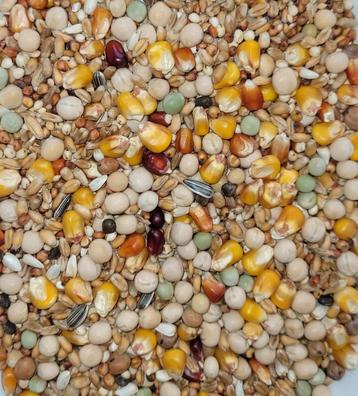 5 Zakken D63 - Special Kweek 20KG €70 beschikbaar voor biedingen