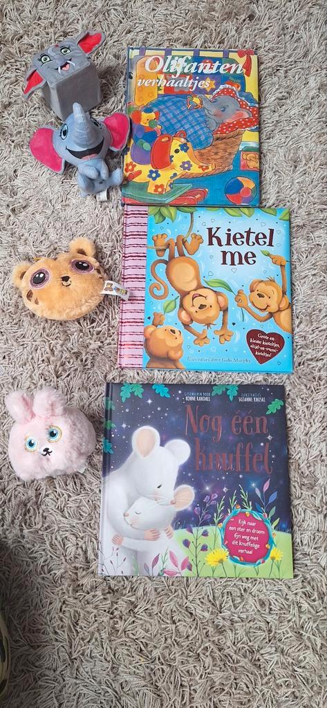 Kinderboeken en Knuffels Set, Boeken, Kinderboeken | Baby's en Peuters, Zo goed als nieuw, 2 tot 3 jaar, Ophalen of Verzenden